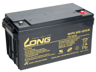 LONG baterie 12V 65Ah M6 LongLife 12 let (WPL65-12AN)
